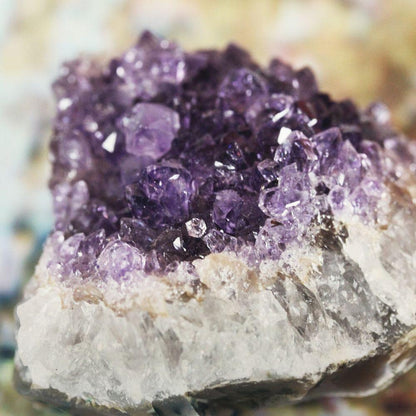 Raw Amethyst Cluster Crystal